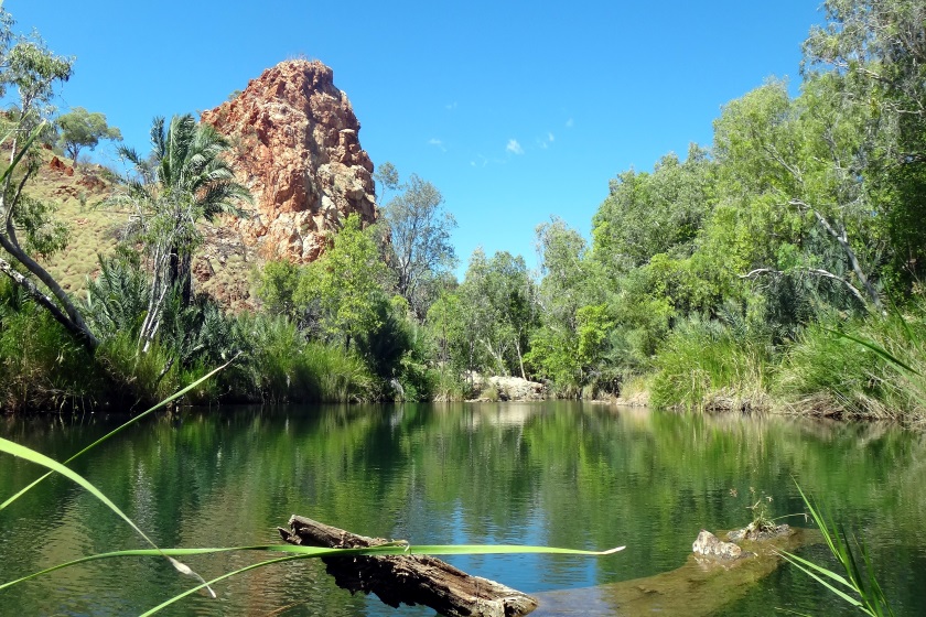 Image of Palm Springs, Halls Creek.